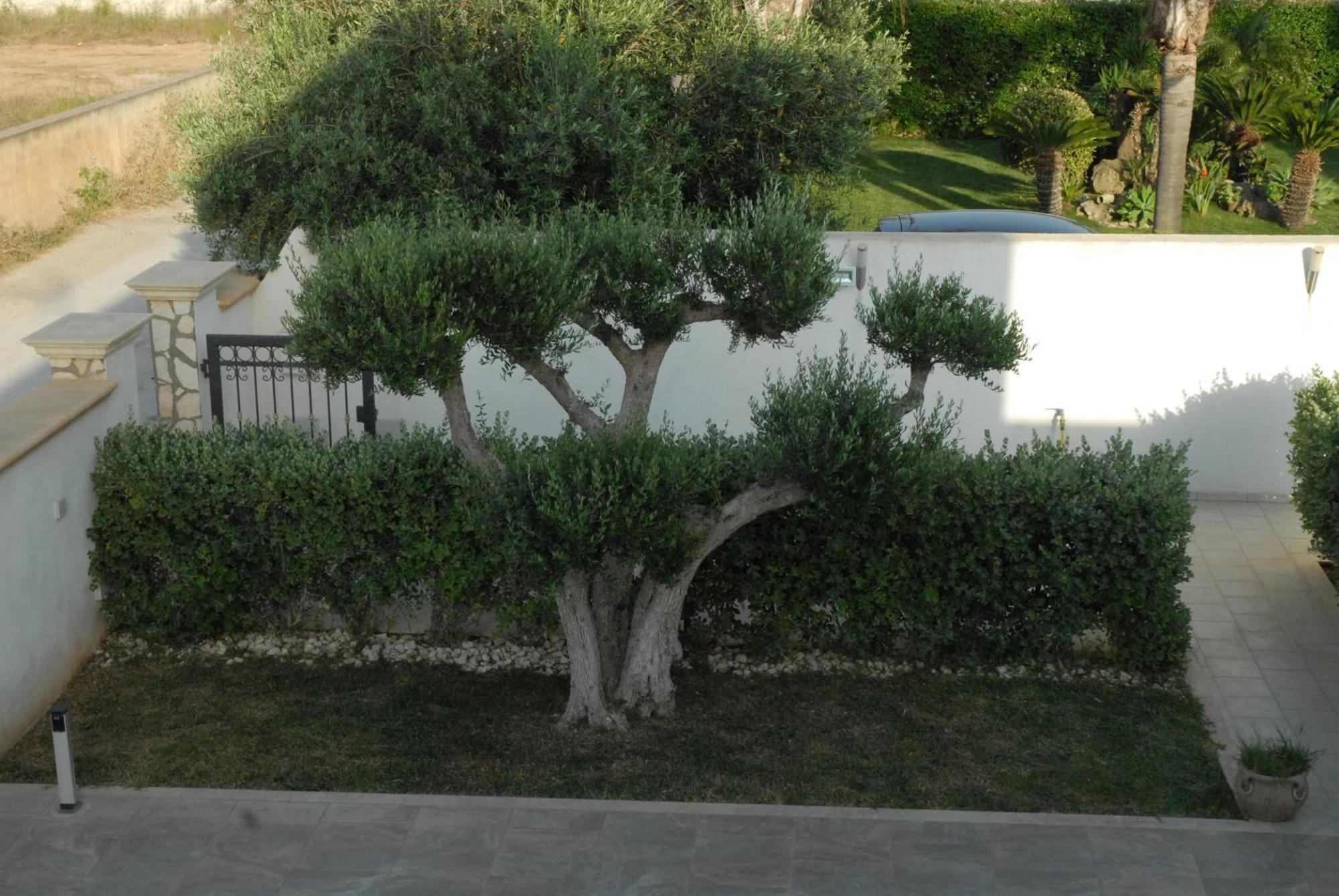 Oasi Tortuga Residence Piscina E Barbecue H24 Mazara del Vallo Εξωτερικό φωτογραφία